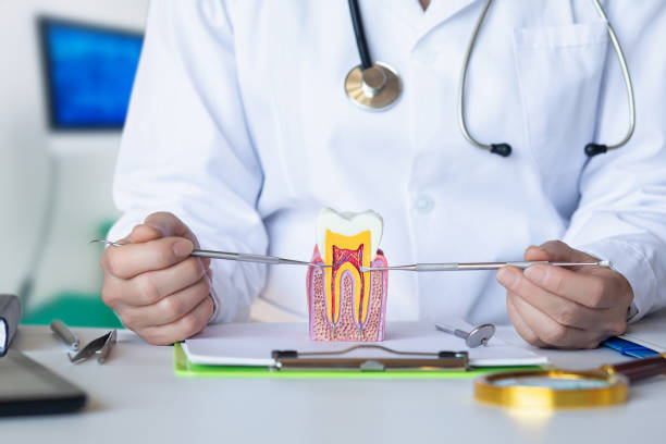 Best Broken Tooth Emergency  in Safety Harbor, FL